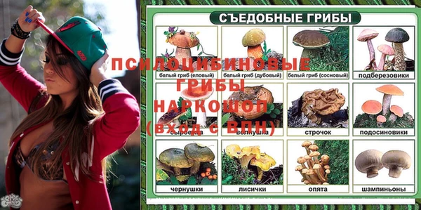 стафф Белоозёрский