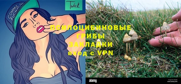 первитин Белокуриха