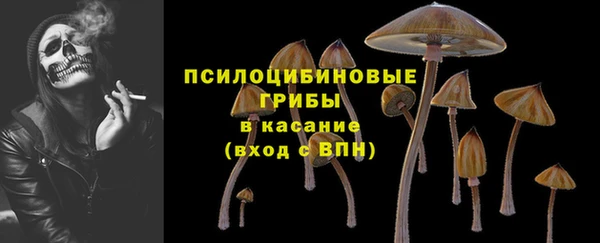 первитин Белокуриха