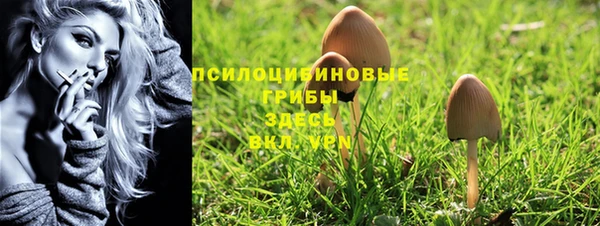 прущая мука Богданович