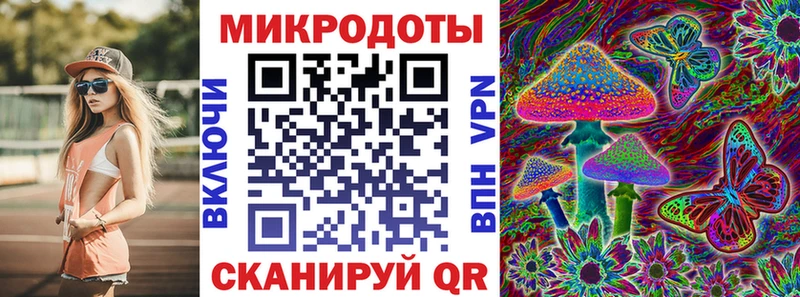 гидра ссылка Апатиты Галлюциногенные грибы мицелий