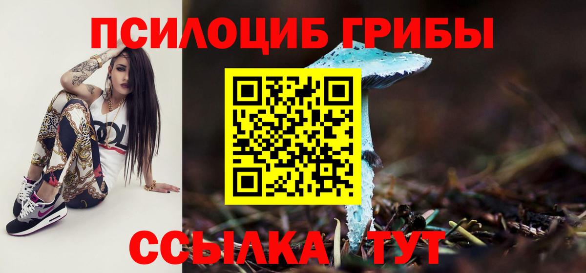 Псилоцибиновые грибы мухоморы Апатиты