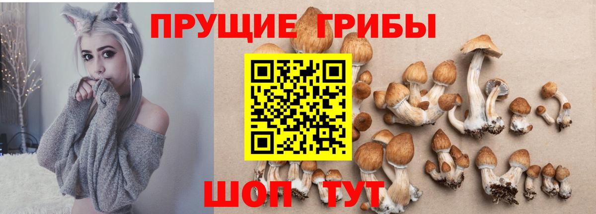 Галлюциногенные грибы MAGIC MUSHROOMS  Вход с VPN  даркнет сайт  Апатиты 